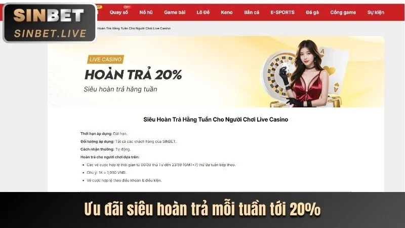 Các chương trình khuyến mãi độc quyền tại 12be